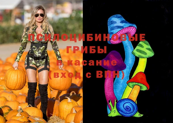 винт Белокуриха