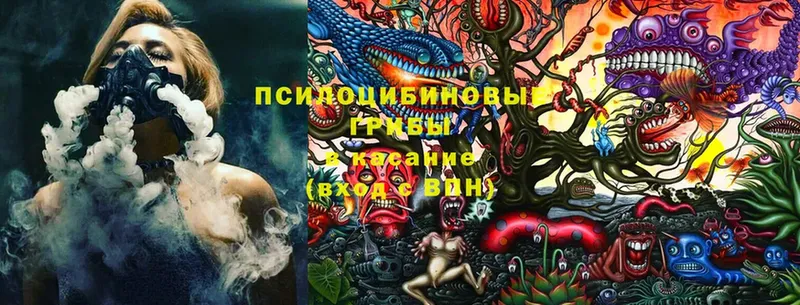 сколько стоит  OMG как зайти  Галлюциногенные грибы Cubensis  Билибино 